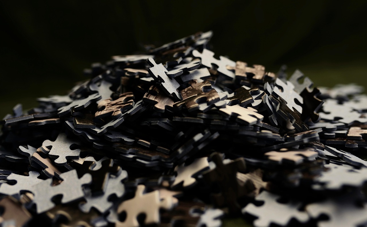 Shared, VPS oder Dedicated: Welches Hosting passt zu welchem Projekt?