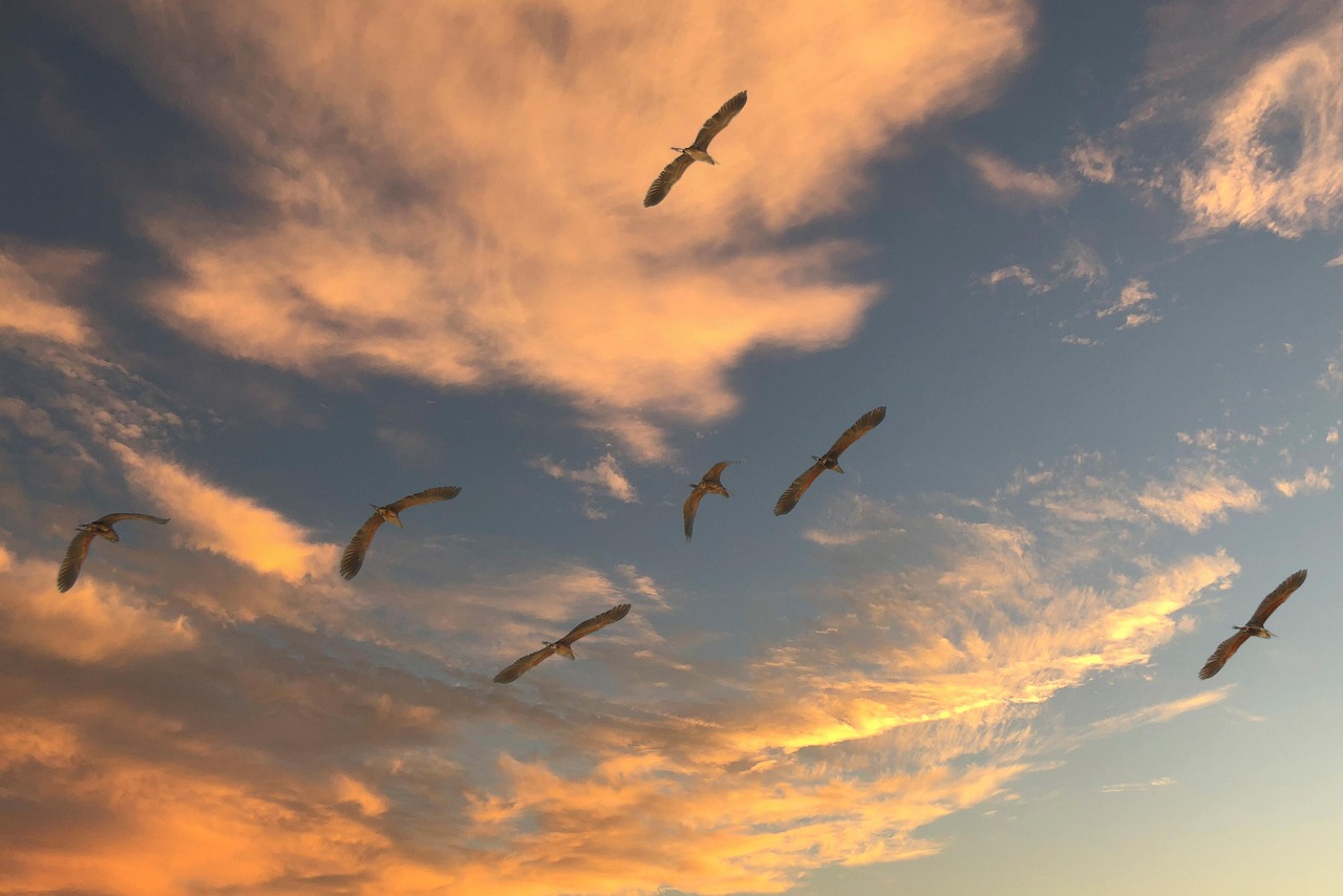 Top 7 Cloud-Migration-Berater in Kiel für Mittelständler 2026