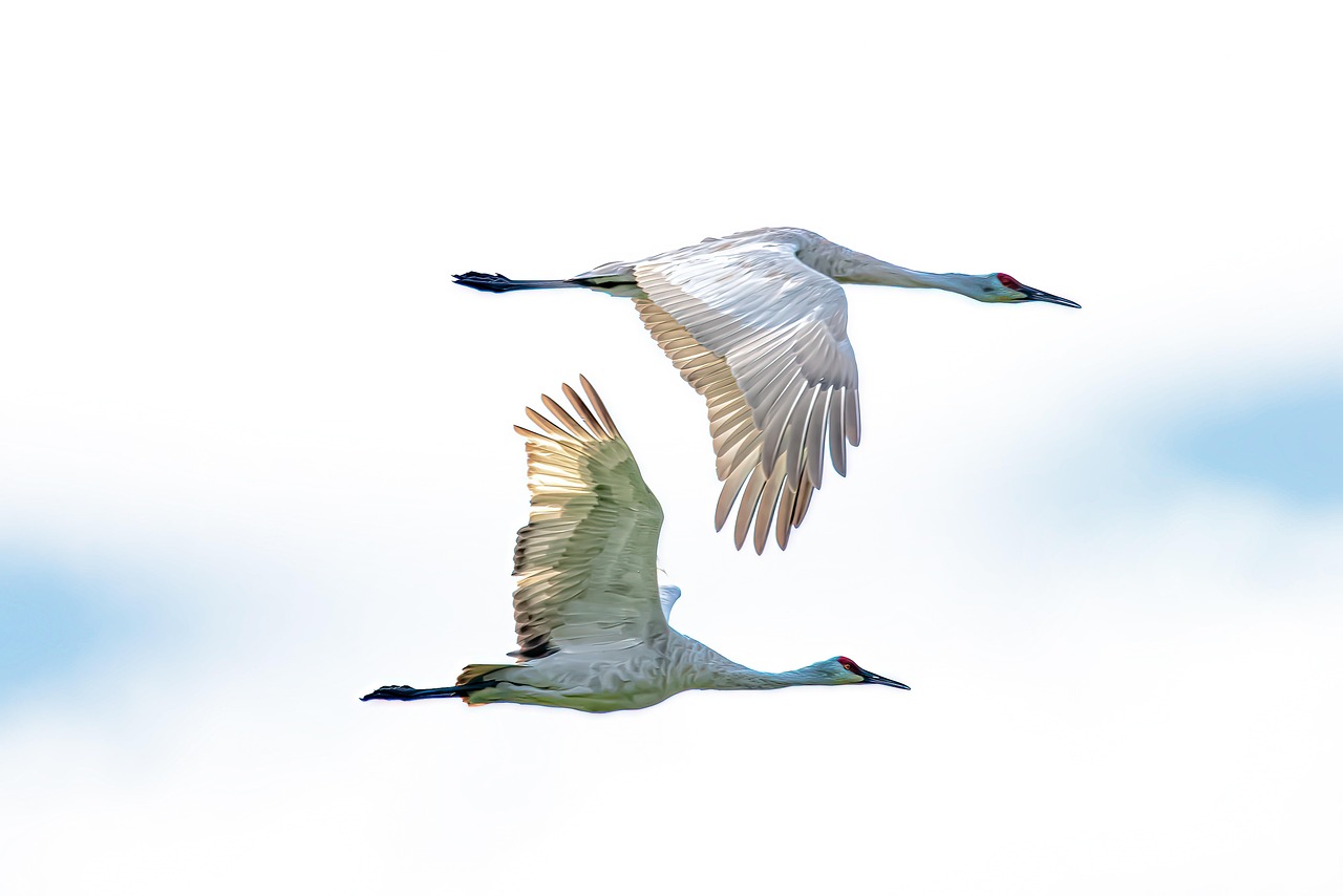 Top 7 Cloud-Migration-Berater in Kiel für Mittelständler 2026